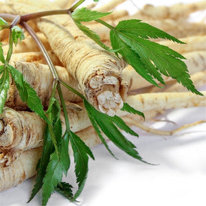 Gingseng Indien anti pollution
