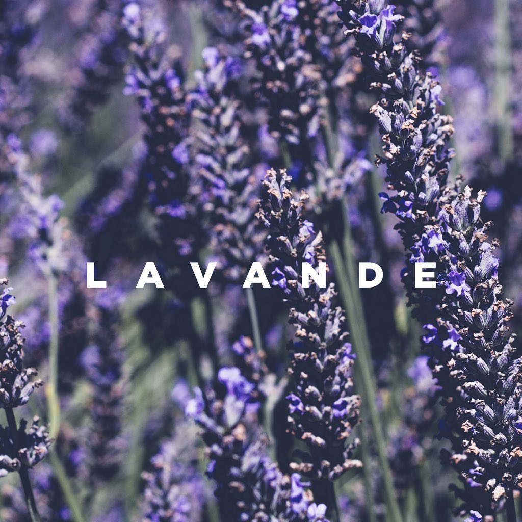 Lavender, to purify
