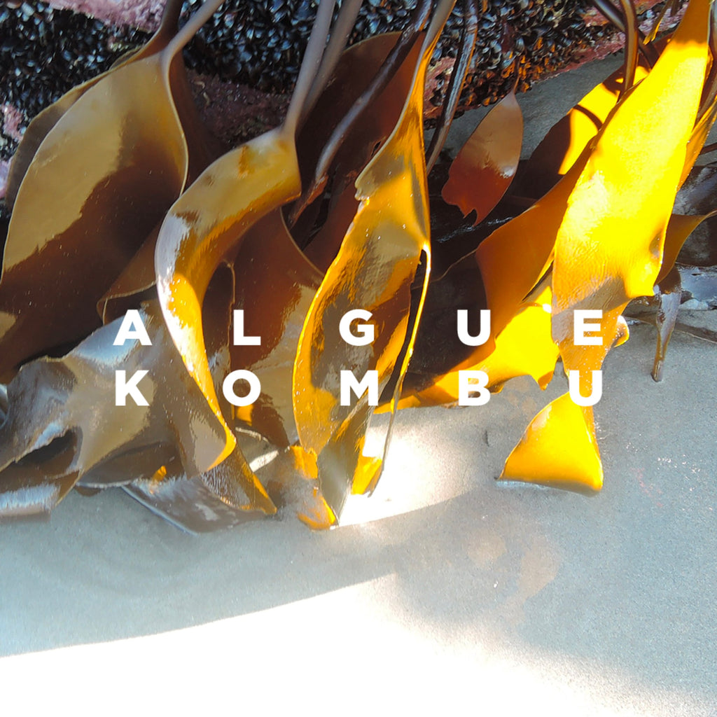 Kombu algae, to repair