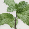 Peppermint to purify