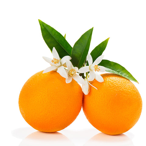 Un piccolo seme di agrodolce per rassicurare