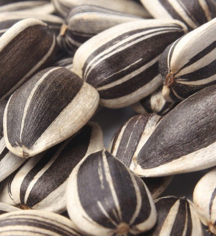 Girasole per idratare