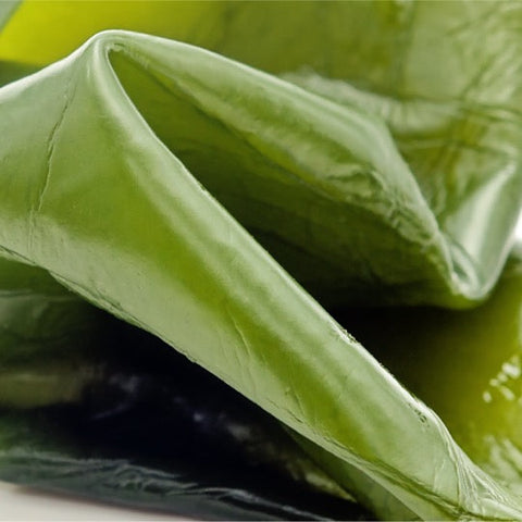 Alga Kombu per riparare